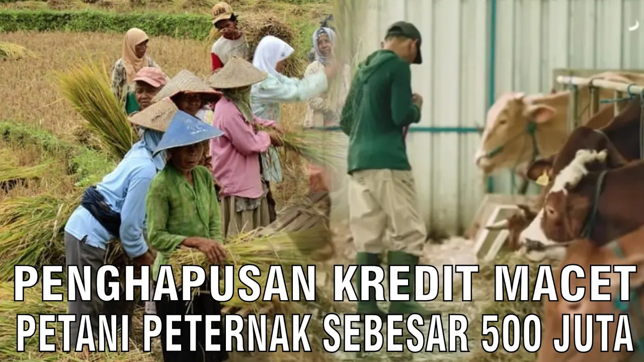 
                                Penghapusan-Kredit-Macet-Petani-Peternak-Sebanyak-500-Juta.jpg